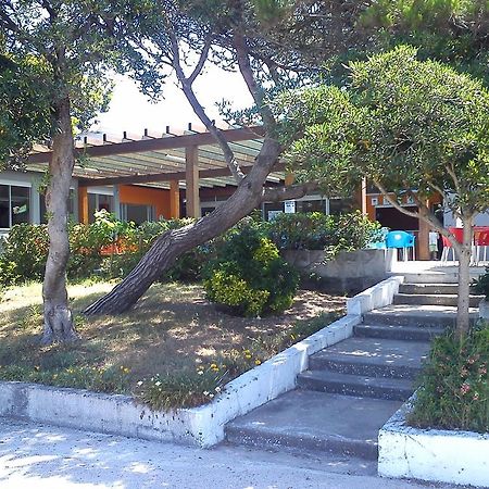 Parque De Campismo Da Praia De Pedrogao Coimbrão Exterior foto